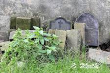 Widok pozostaoci cmentarza